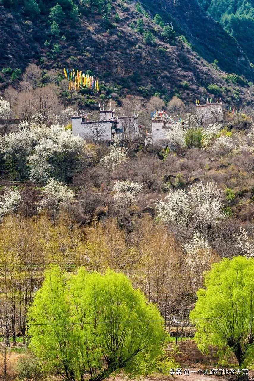 有生之年一定要去四川吗,年轻时不能去四川吗