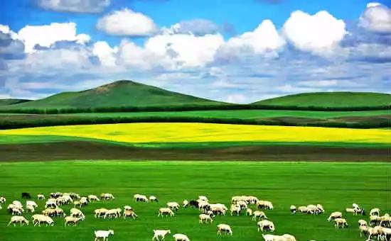 各地水果特产一览表,各地特产礼品一览表