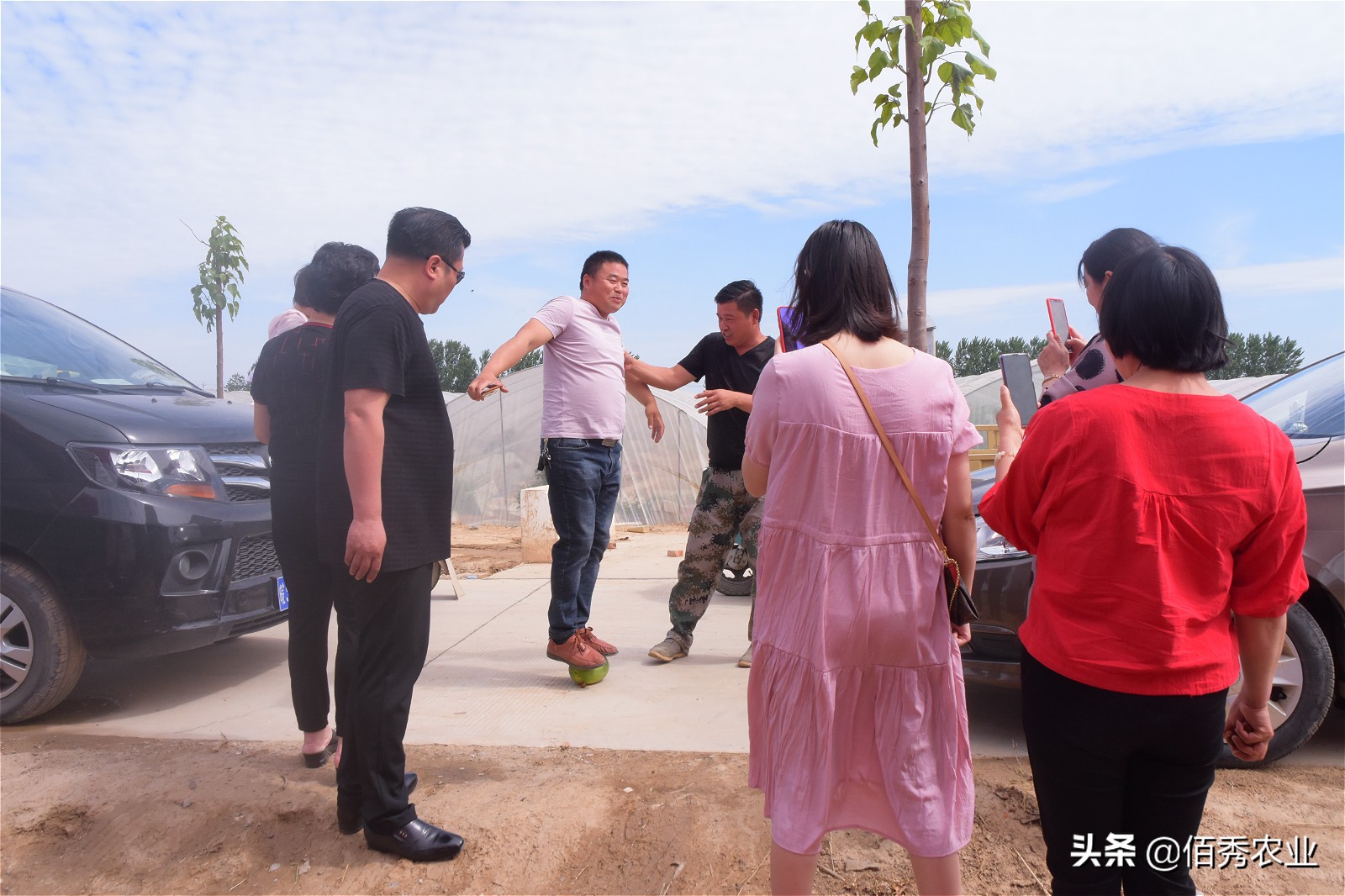 黄皮西瓜种植效益,反季节种植西瓜一亩收入