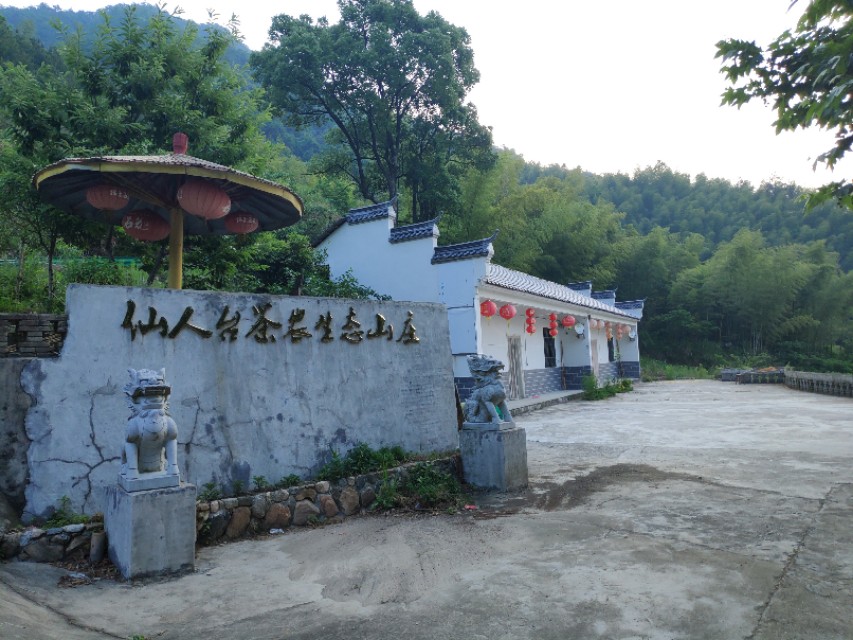 蕲春仙人台近日发生车祸,蕲春仙人台海拔