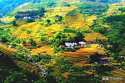 盘点茂名40个好玩的景点，茂名旅游景点大全就在这里了