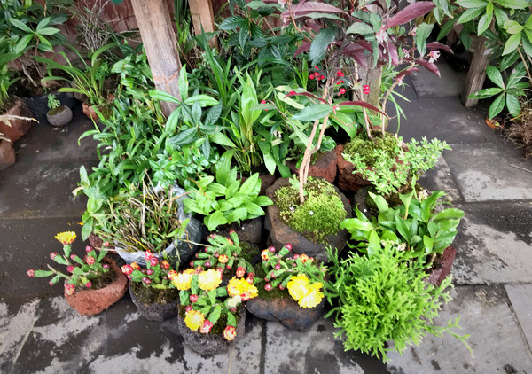 云南腾冲的美你想象不到,腾冲除了和顺还有什么古镇