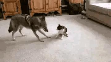 为什么加油站要24小时上班,为什么加油站一个工资1800