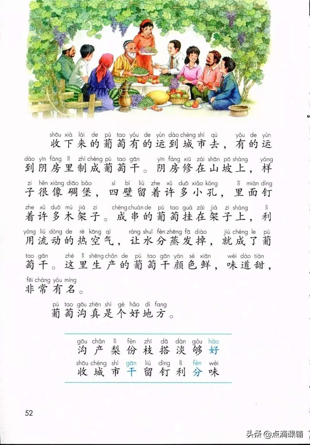 二年级语文上册课文11葡萄沟语文辅导预习复习知识点