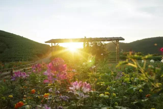 南靖土楼旅游攻略自由行,福建漳州南靖土楼旅游攻略