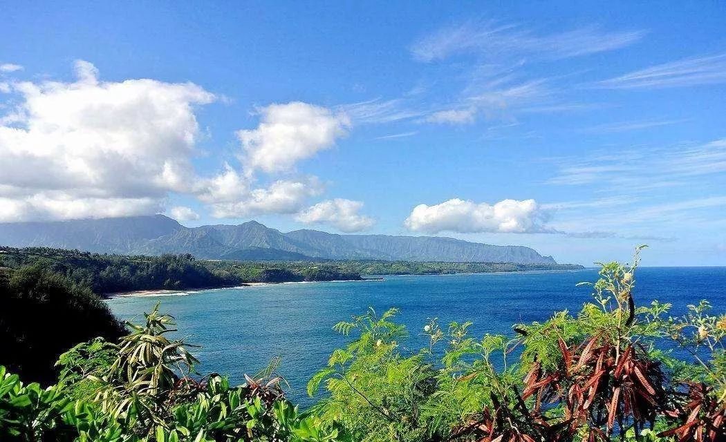 为什么一定要去夏威夷,为什么大家都去夏威夷