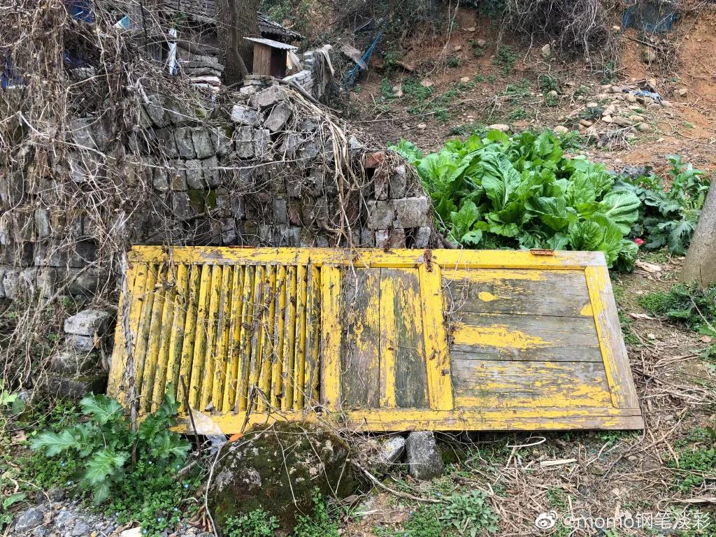 90后小姐姐在家里画画,90后小姐姐画画图片