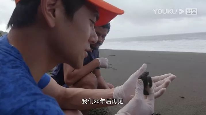 彭于晏苏有朋,彭于晏和苏有朋