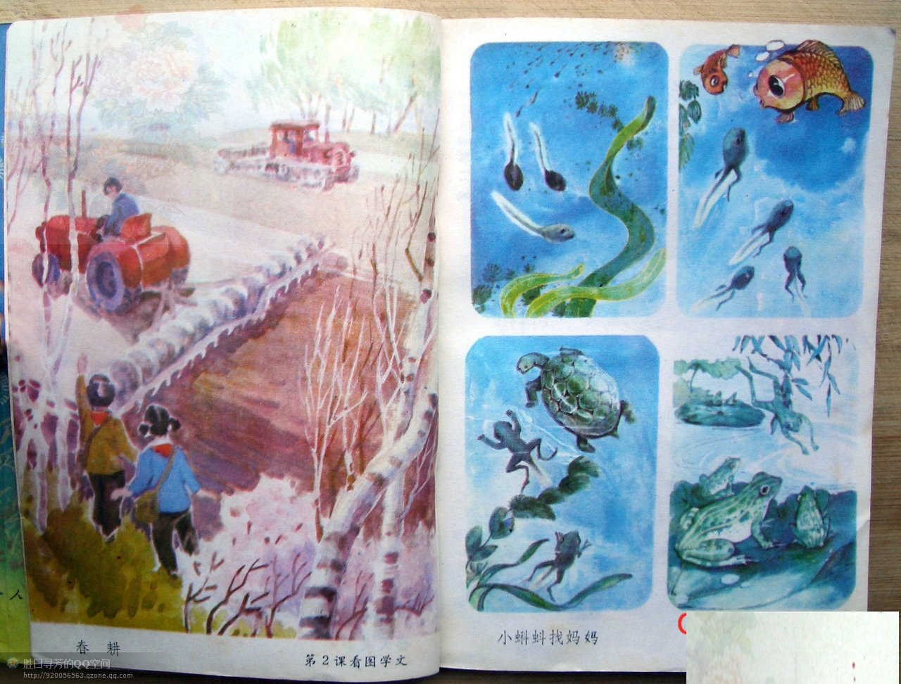 六年制小学课本《语文》第四册人教版1988年版1993年印