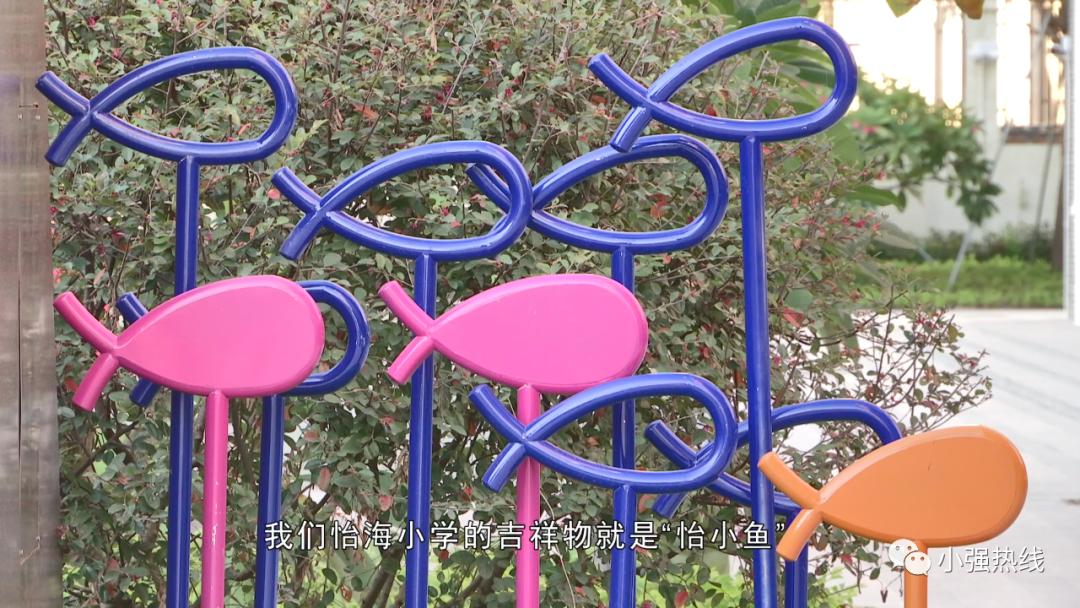 美育学校是什么样的,美育特色学校已有的建设方案