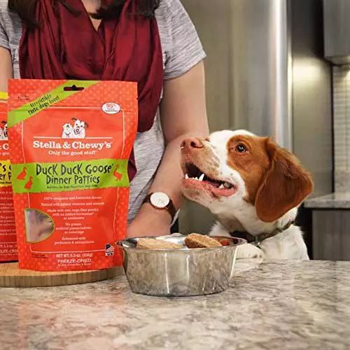 一定要喂猫咪吃冻干的理由!这样吃效果最佳,远胜干湿粮