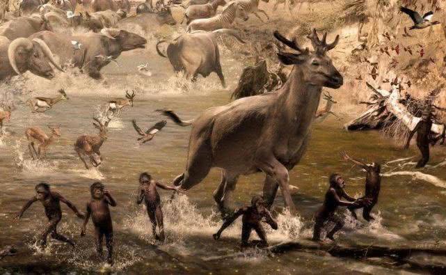 人脑进化过程:为什么人类有这么强的思考能力?