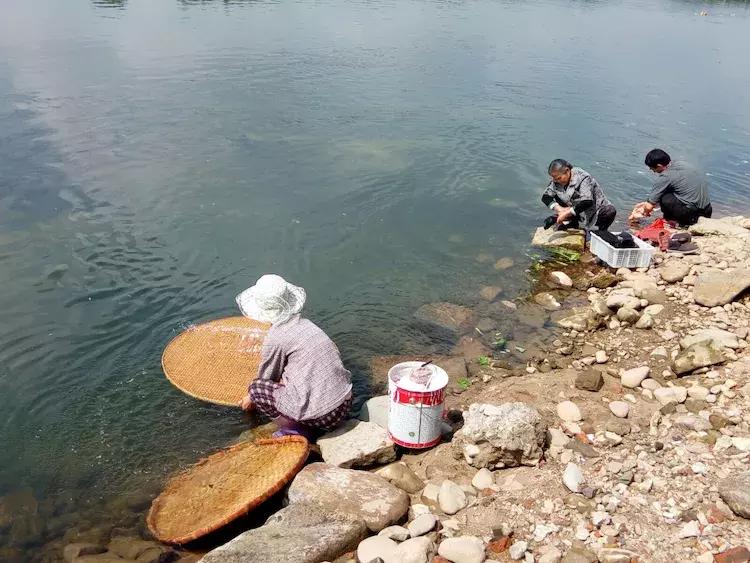 一个让人流连忘返的地方,山清水秀,只需要坐在河边发呆就行。