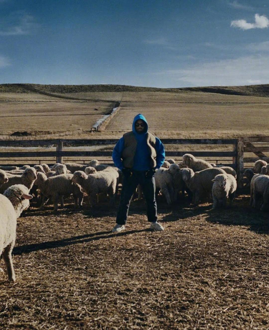 nikeairyeezy灰白真假对比,nikeairyeezy2回到未来