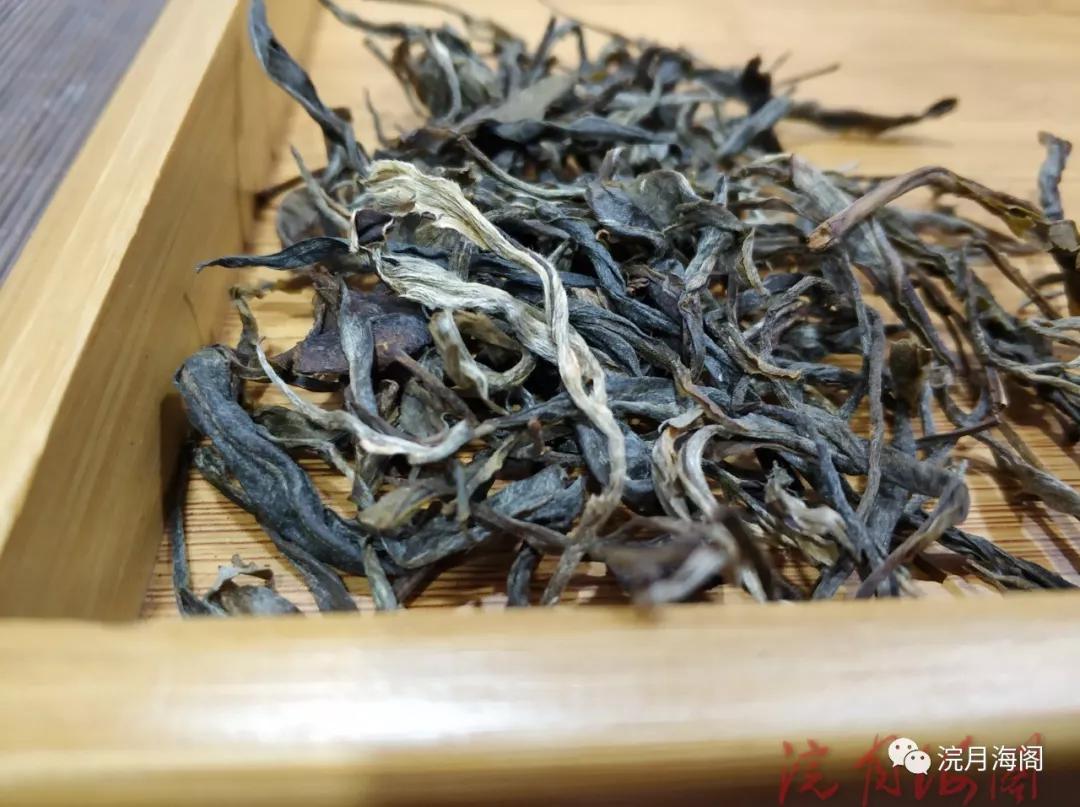 六大茶山是哪六个,六大茶山为什么茶那么好