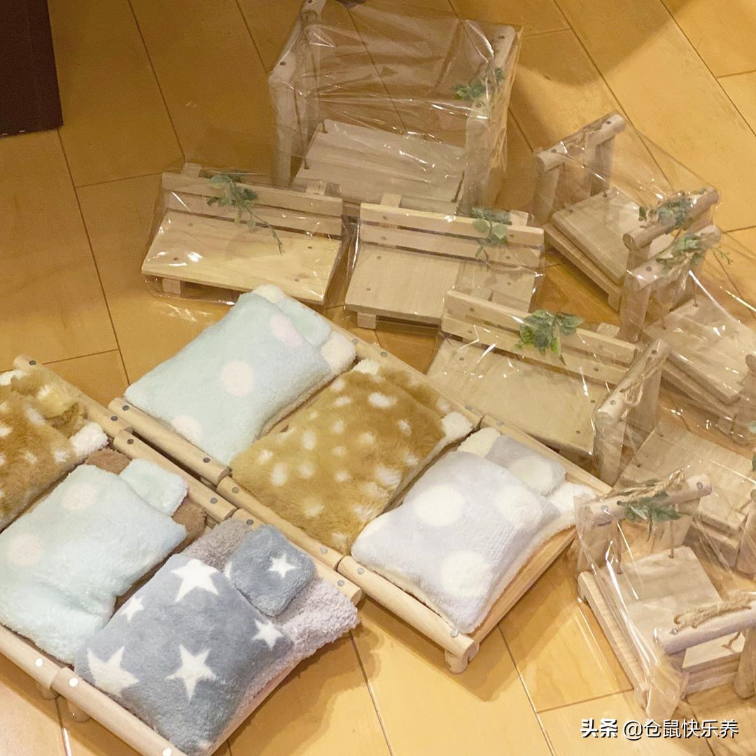 仓鼠什么时候才能住凉快的小窝,仓鼠冬天需要一个温暖的窝吗