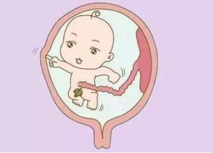 孕妇打喷嚏胎儿有什么反应?对胎儿有什么影响?