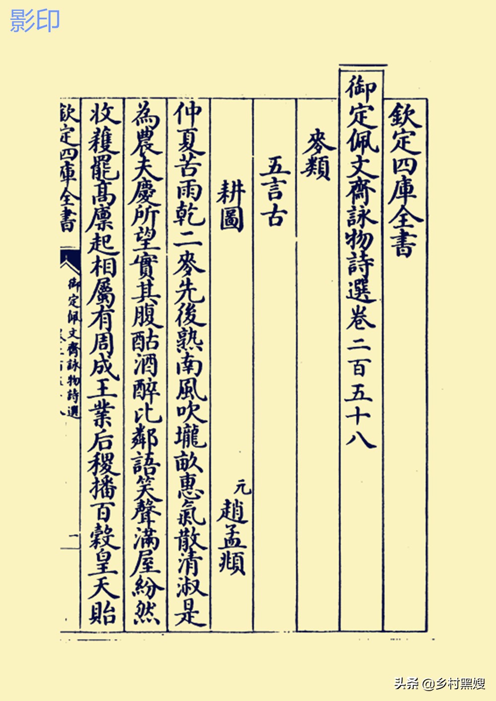 小麦是怎么生长的视频,小麦的起源与发展历史是怎样的