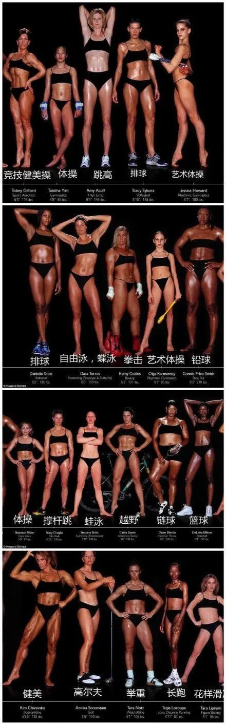 奥运会运动员身材排名,奥运健儿全体合照图