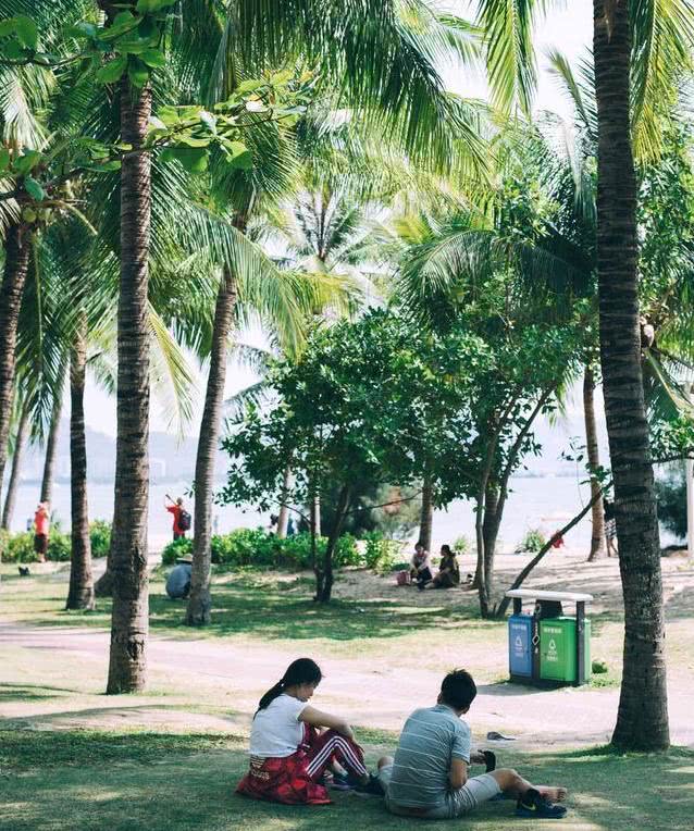 全球第一长滨海公路,三亚网红大道