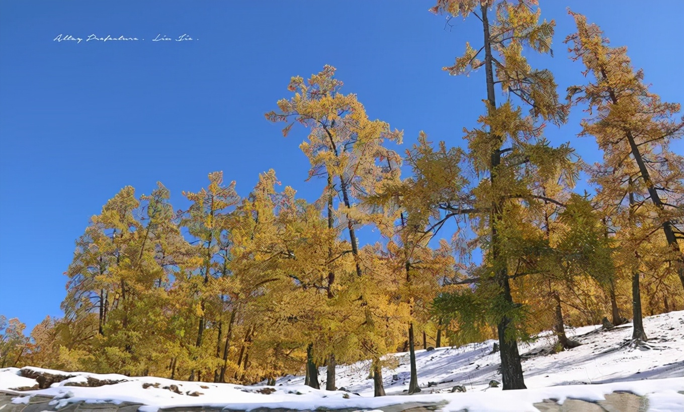 北疆四季,北疆的四季美景
