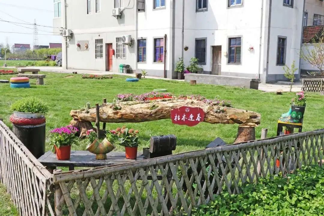 浙江平湖：“三大战役”力推农村环境全域秀美