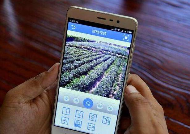 如何快速做好农产品推广,新手如何做好卖农产品的推广