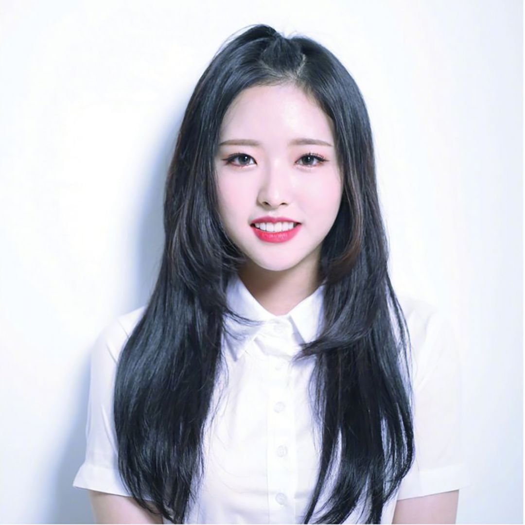 loona女团介绍,loona女团资料