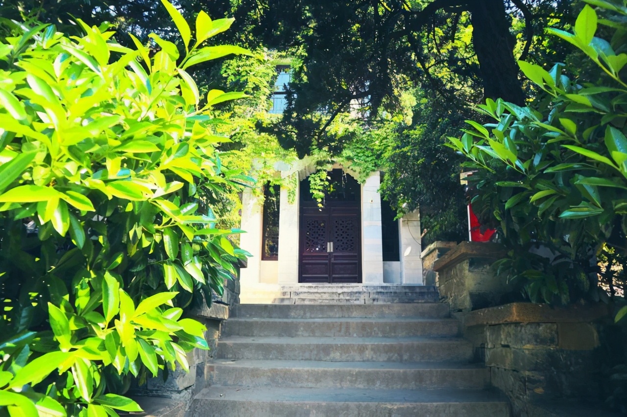 国立中央大学江苏大学,国立中央大学有哪些著名教授