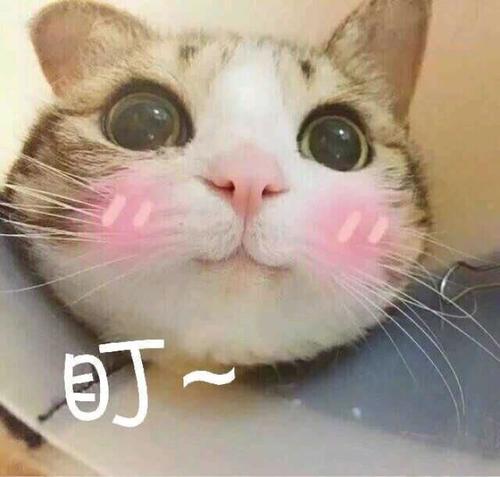 ps调色干货中的干货,从零开始学ps怎么看学习资源