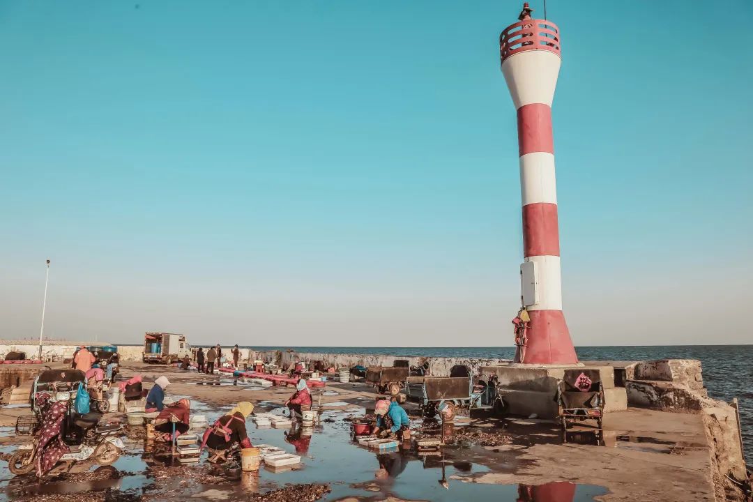 生活在海边的人皮肤特点,日照海边的魅力