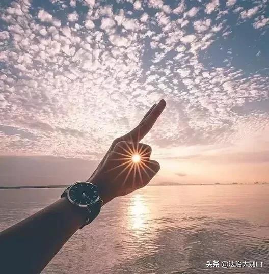 生命的价值记叙文600字,生命的价值全文阅读