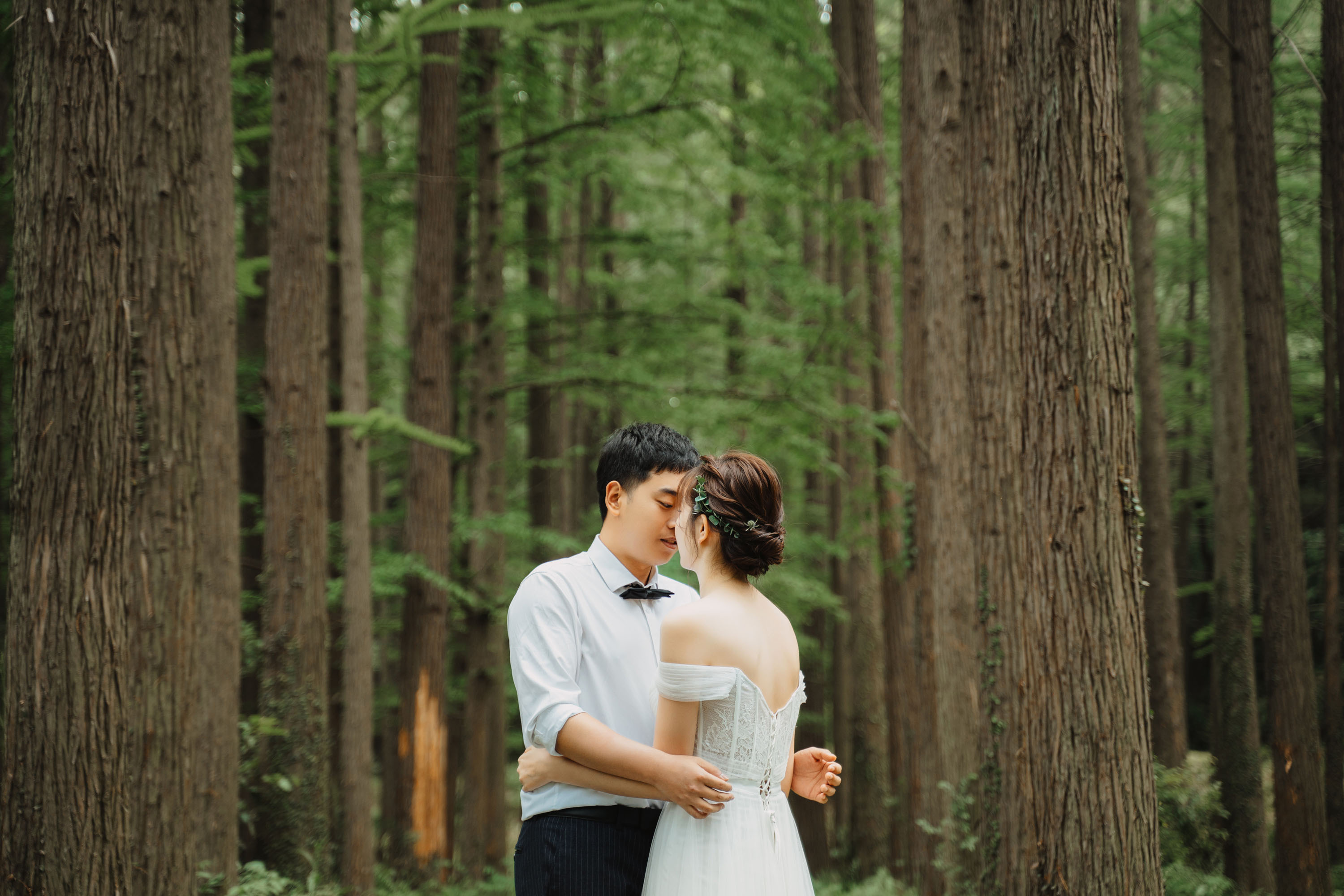 苹果手机摄影自学入门,拍照摄影入门教程自学