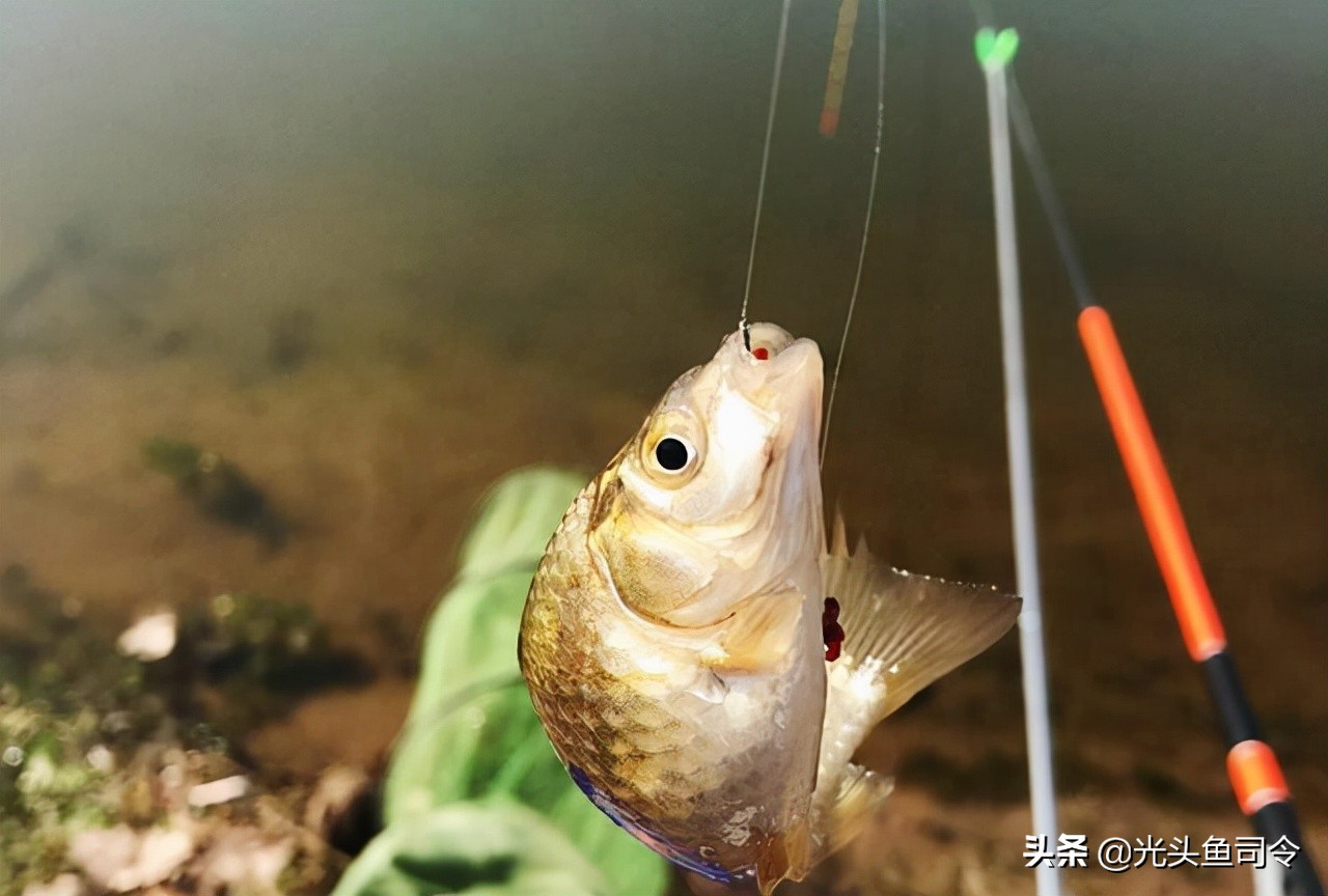 小区门口开渔具店,渔具店的黑心案例