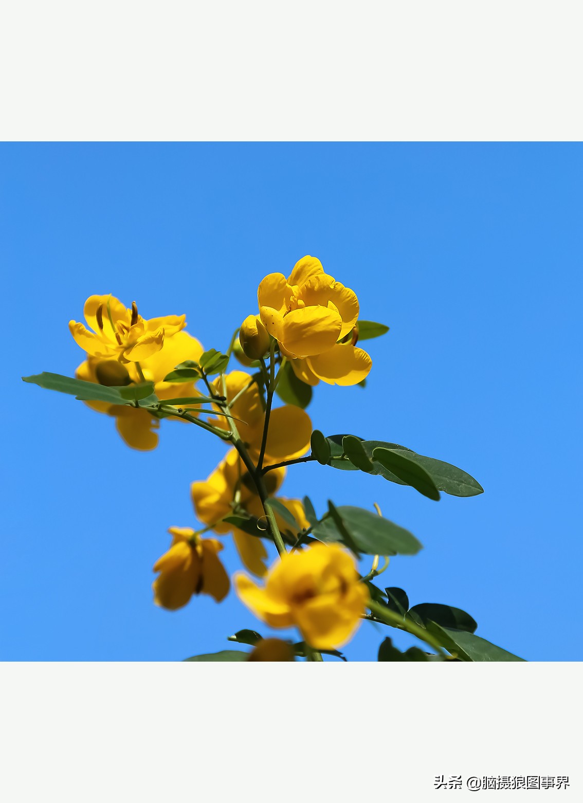 佳能24105红圈镜头测评,佳能24105红圈镜头价位