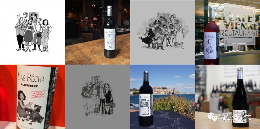 对蜜雪冰城产品的认知,露喜龙产区