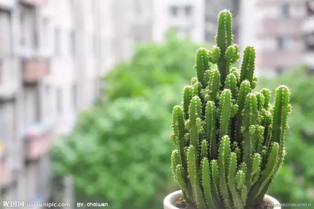 这些真假难辨的生活小常识，你被忽悠了几条？