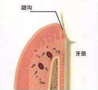 口腔护理牙缝清洁,牙缝清洁是每个牙缝都要清洁吗
