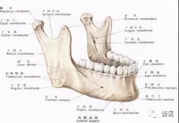 那些削骨的女明星怎么样了,哪些明星承认削骨了