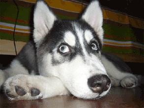 美业违法吗,美业杜绝虚假宣传