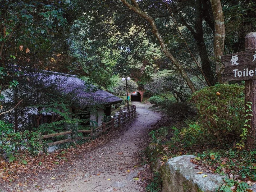 绱㈠凹xperia1鍦ㄦ棩鏈殑鍞环,绱㈠凹xperia1鏃ユ湰