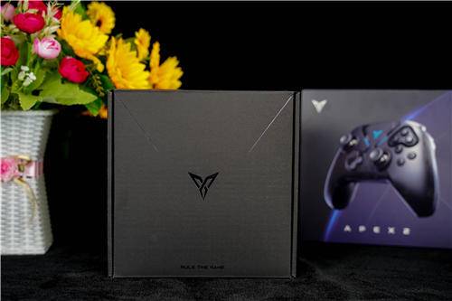 飞智八爪鱼2怎么开启体感,飞智八爪鱼2游戏手柄一键连招