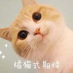 鏃ユ湰鑳栧閫嗚,鏃ユ湰鑳栧