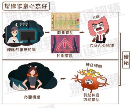 减肥运动期间为啥总是便秘,减肥期间便秘了怎么办