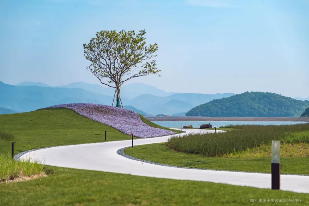 第二届ggac大赛获奖作品,第4届eace全球艺术创作奖启动