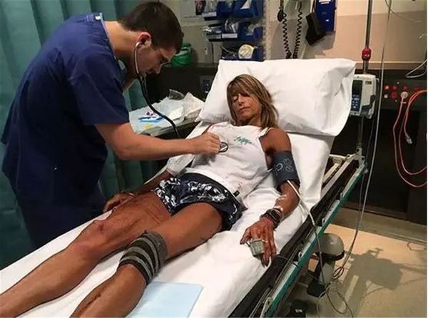 澳洲袋鼠真正的样子,真正的澳洲袋鼠