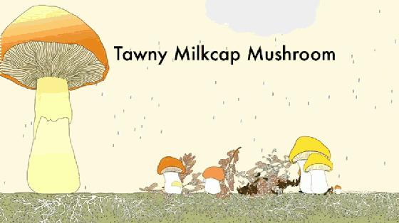 九个超实用的学习app,推荐一个可以学习各种学科的app