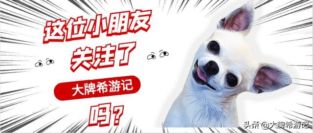 绿色的植物洗发水,绿色农场洗发水好用是真的吗