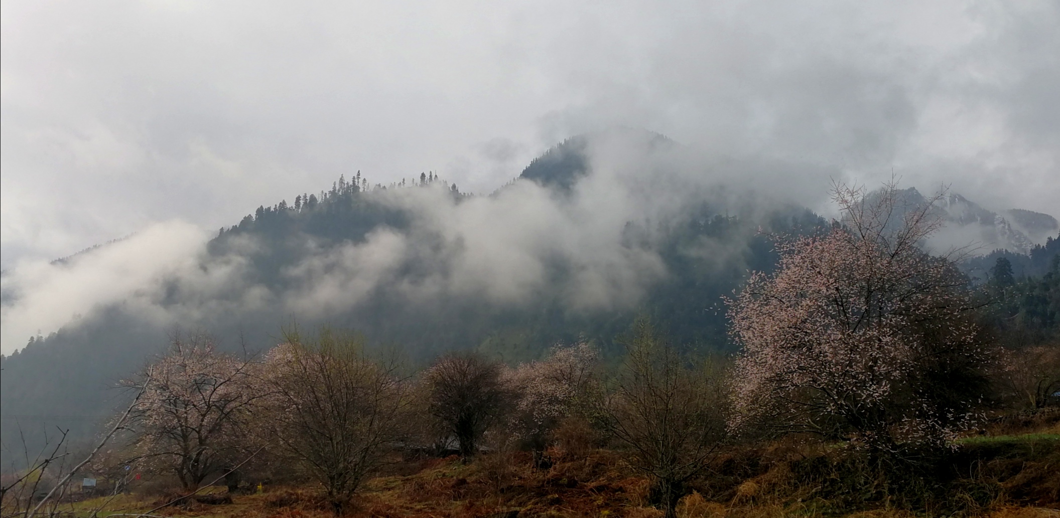 进藏day7试驾,自驾西藏day4