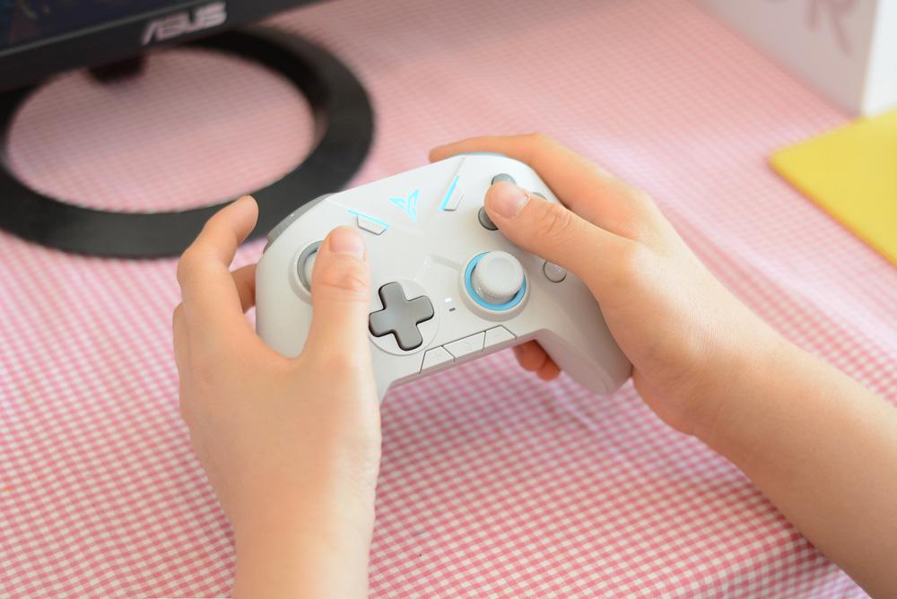 飞智黑武士2手柄能玩switch,飞智黑武士2手柄震动效果测试